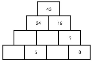 Fig 30-15 Araras Vunesp