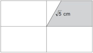 F21-6 SJRP AL Vunesp
